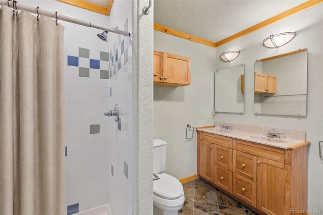 314 Bluestem Way, Fairplay, CO 80440