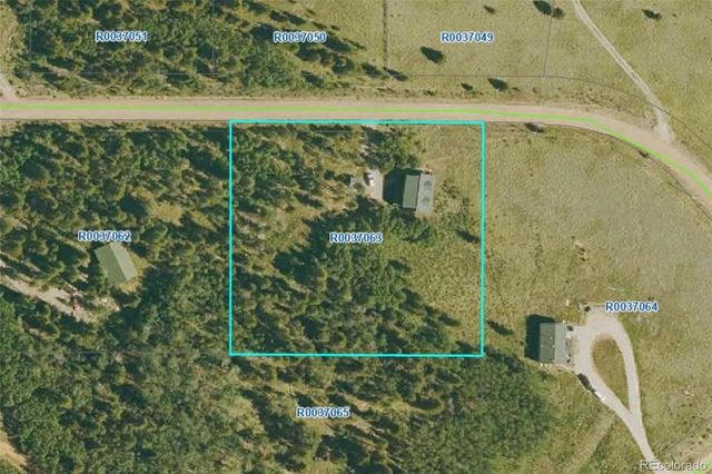 314 Bluestem Way, Fairplay, CO 80440