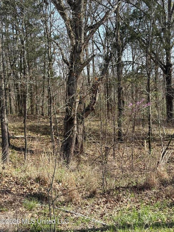 0 Nolan Road, Olive Branch, MS 38654 — exterior