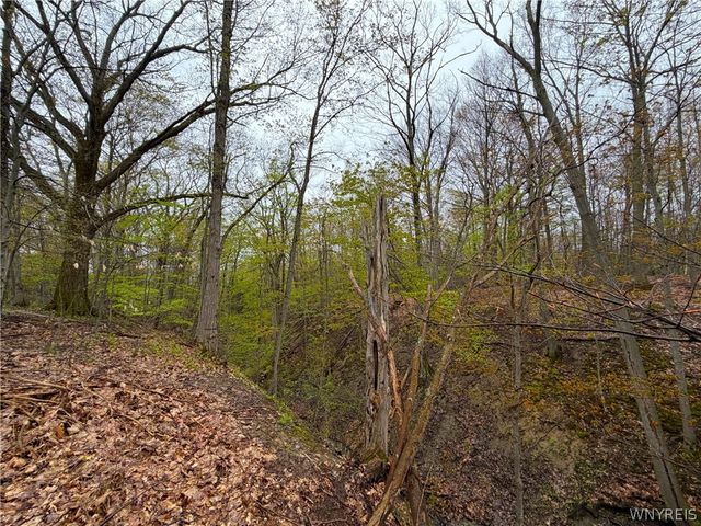 5850 Seufert Road, Orchard Park, NY 14127