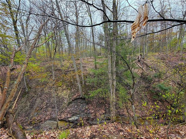 5850 Seufert Road, Orchard Park, NY 14127