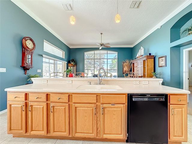 4919 LONG MEADOW DRIVE, Leesburg, FL 34748