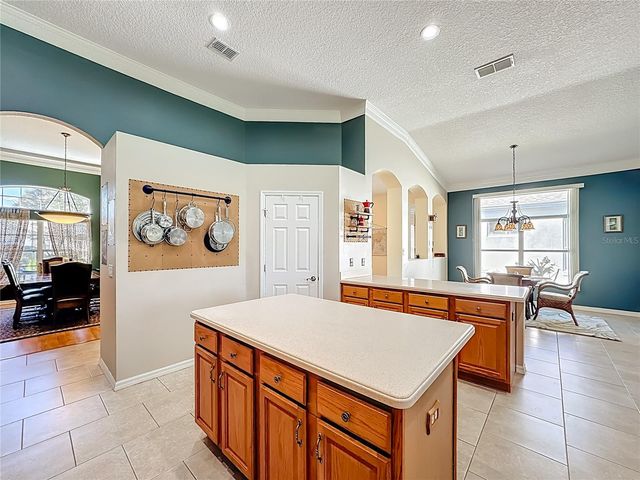 4919 LONG MEADOW DRIVE, Leesburg, FL 34748