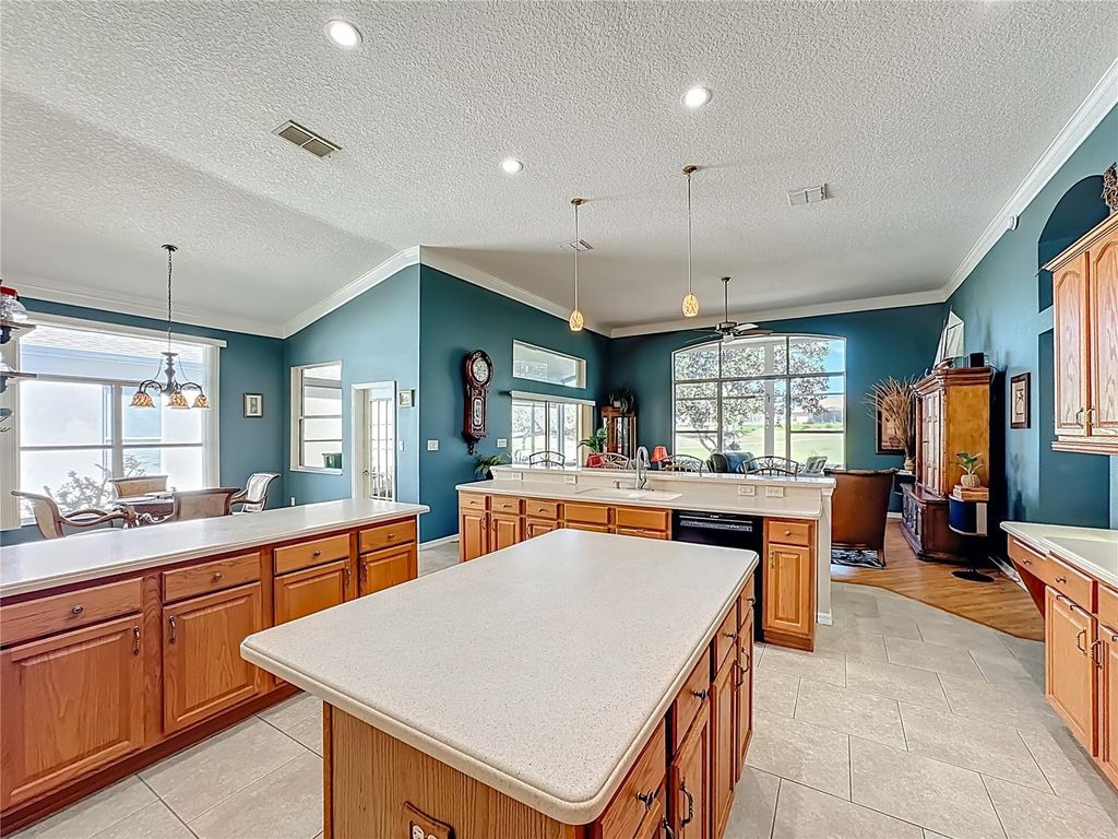 Image 20 of property listing at 4919 LONG MEADOW DRIVE, Leesburg, FL 34748