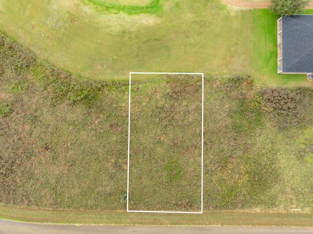 40 LOTS White Bluff, Whitney, TX 76692
