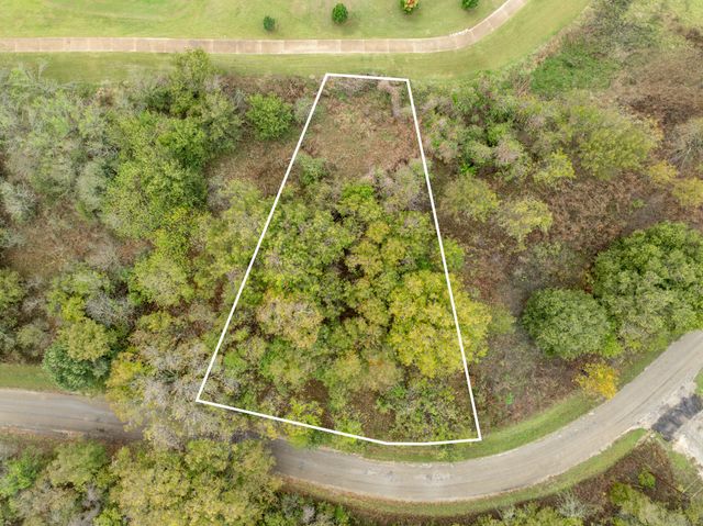 40 LOTS White Bluff, Whitney, TX 76692