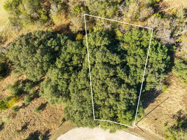 40 LOTS White Bluff, Whitney, TX 76692