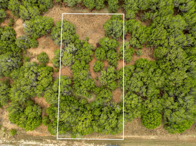 40 LOTS White Bluff, Whitney, TX 76692