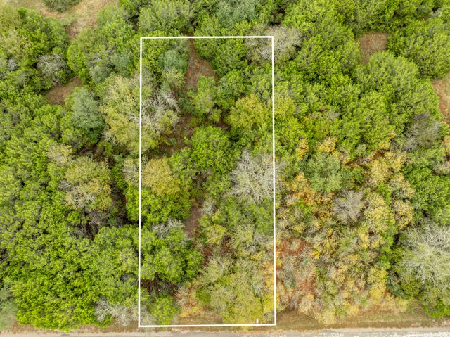 40 LOTS White Bluff, Whitney, TX 76692