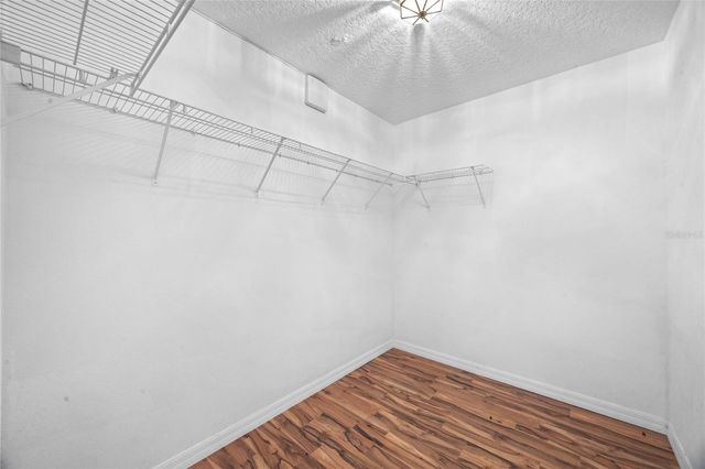 2439 BREEZY MEADOW ROAD, Apopka, FL 32712