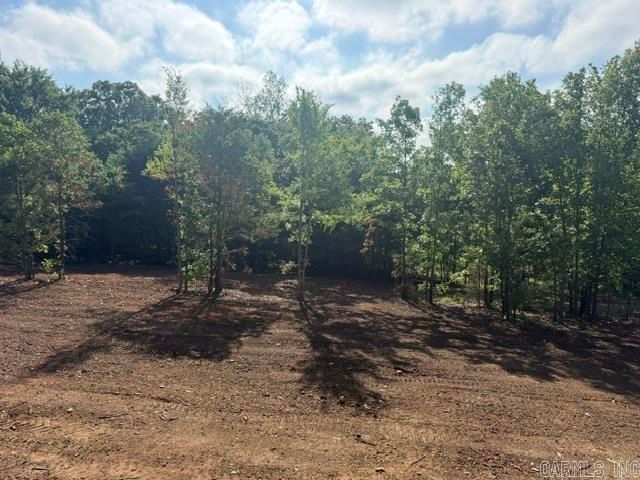 19 Summer Tyme Drive, Greenbrier, AR 72058