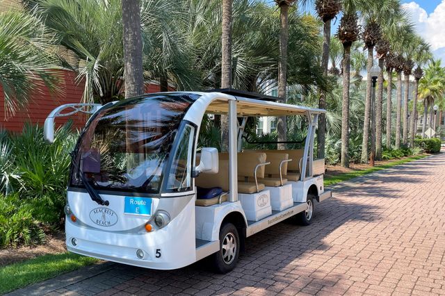 228 Beach Bike Way, Inlet Beach, FL 32461