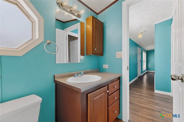 195 Gato Road, Cedar Creek, TX 78612