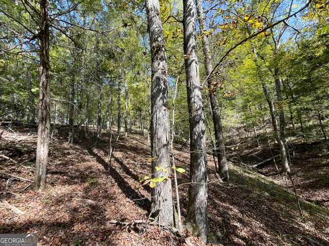 0 Webb Creek Road, Rome, GA 30161