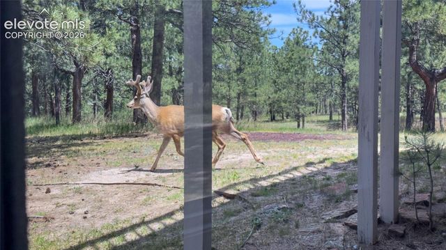 14810 E Coachman Drive, Colorado Springs, CO 80908