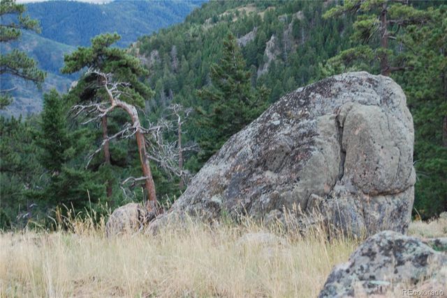 13927 Dancing Bear Trail, Littleton, CO 80127