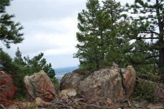 13927 Dancing Bear Trail, Littleton, CO 80127