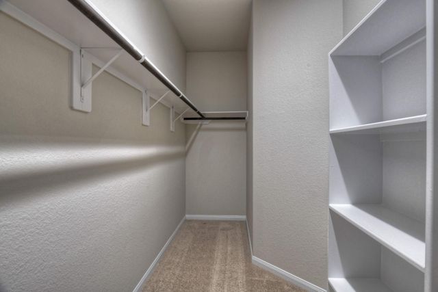 21215 Flowering Dogwood Circle, Porter, TX 77365