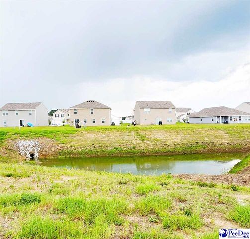 1108 Rushmore Loop, Florence, SC 29506