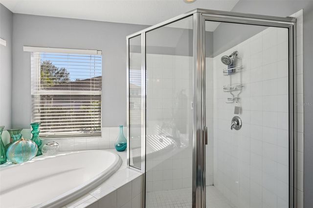 31110 STONE ARCH AVENUE, Wesley Chapel, FL 33545