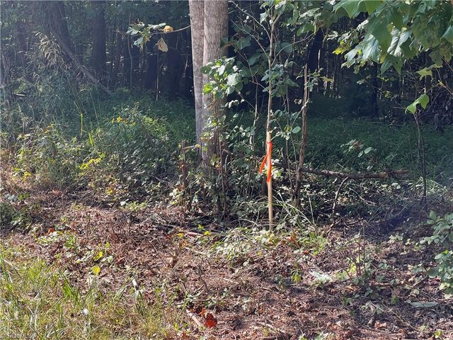 3136 K Fork Road, Madison, NC 27025