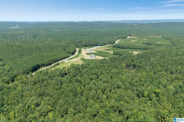 5121 JOINERTOWN ROAD, Columbiana, AL 35051