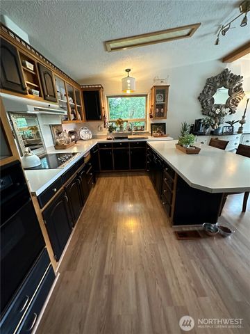 16119 254th Street E, Graham, WA 98338