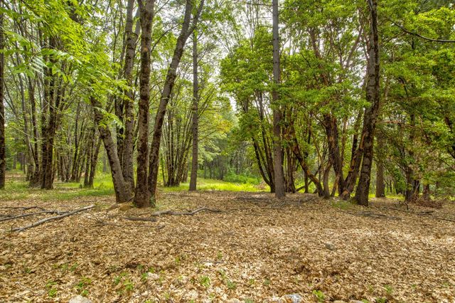26270 Foresthill Rd, Foresthill, CA 95631