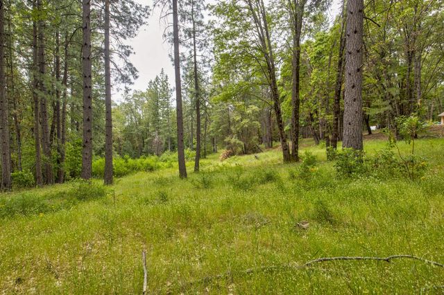 26270 Foresthill Rd, Foresthill, CA 95631