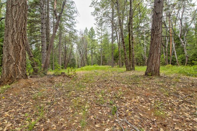 26270 Foresthill Rd, Foresthill, CA 95631