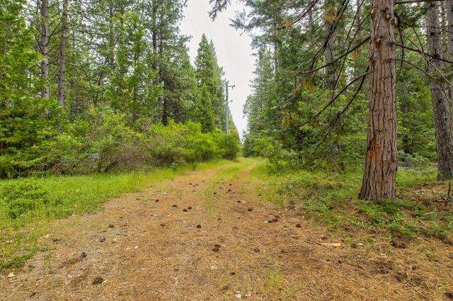 26270 Foresthill Rd, Foresthill, CA 95631