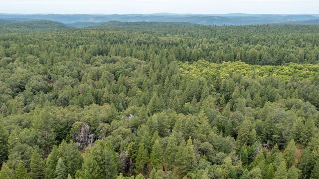26270 Foresthill Rd, Foresthill, CA 95631