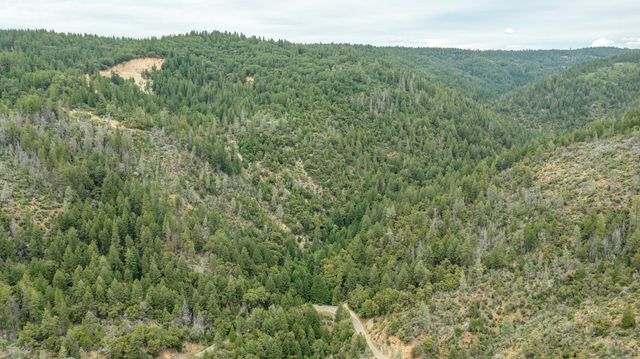 26270 Foresthill Rd, Foresthill, CA 95631