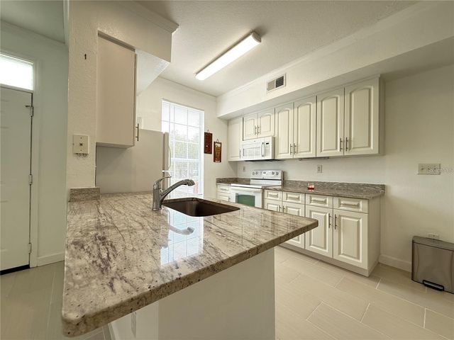 9650 LAKE CHASE ISLAND WAY 9650, Tampa, FL 33626