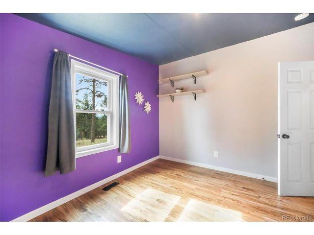 696 Calle De La Nieva, Florissant, CO 80816