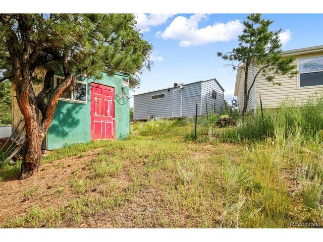 696 Calle De La Nieva, Florissant, CO 80816