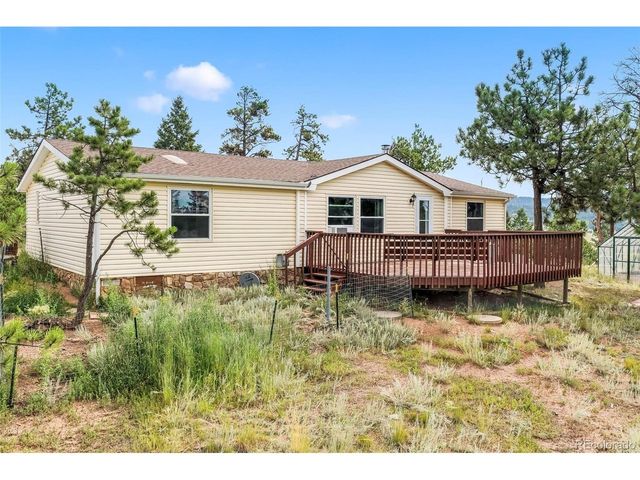 696 Calle De La Nieva, Florissant, CO 80816