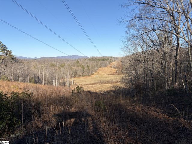 539 Hart Cut Road, Marietta, SC 29661