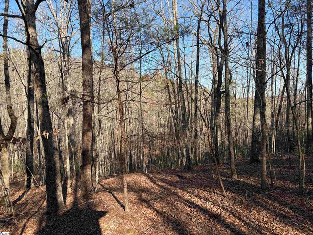 539 Hart Cut Road, Marietta, SC 29661
