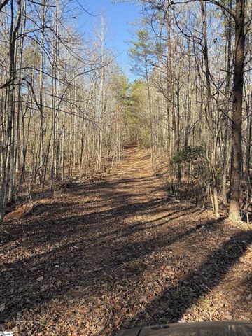 539 Hart Cut Road, Marietta, SC 29661