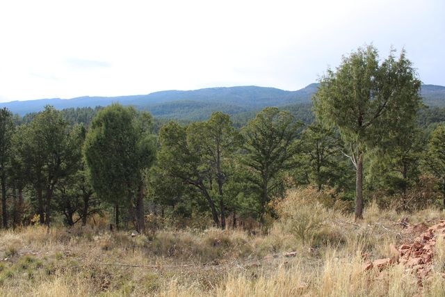 5 Casa Colina, Sandia Park, NM 87047