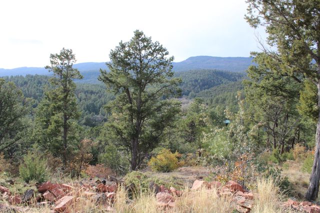 5 Casa Colina, Sandia Park, NM 87047