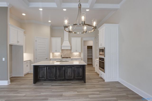 12370 Narayan Street, Madison, AL 35756