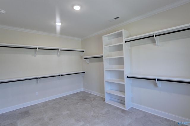 12370 Narayan Street, Madison, AL 35756