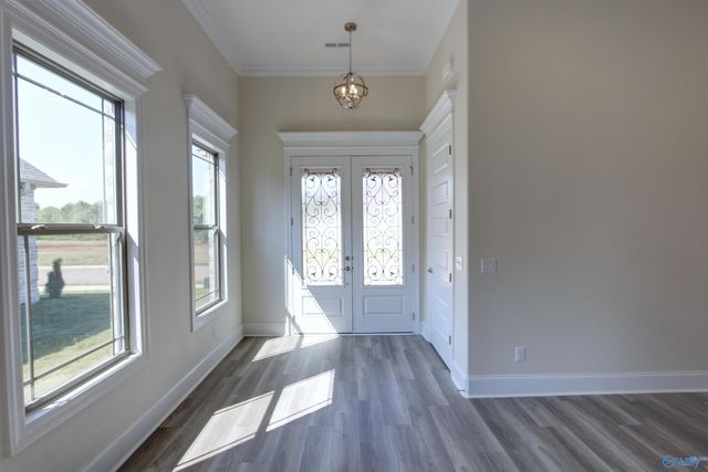 12370 Narayan Street, Madison, AL 35756