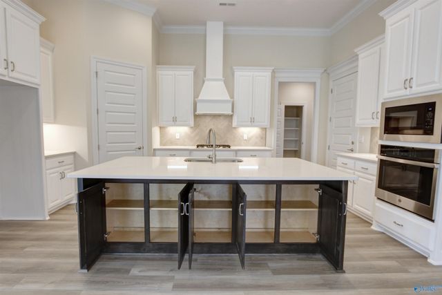 12370 Narayan Street, Madison, AL 35756