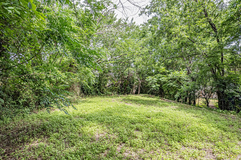 1311 Waterman Street, Fort Worth, TX 76102