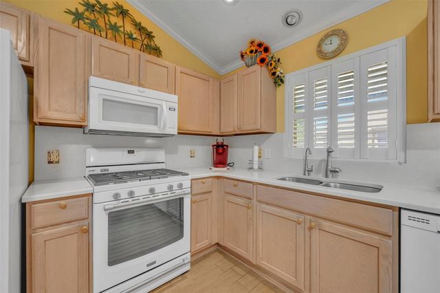 3001 SANDY LANE, The Villages, FL 32162