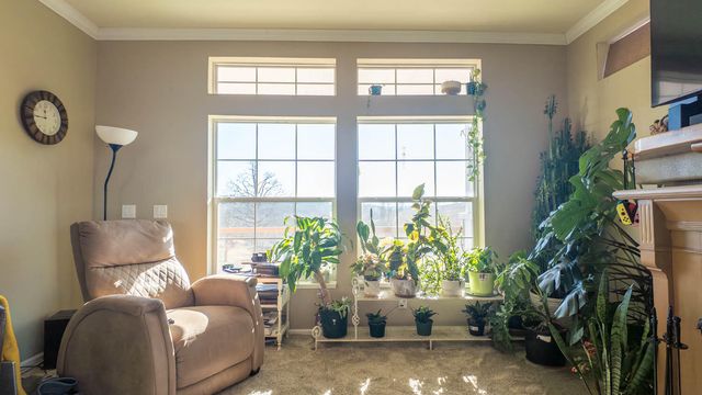 1986 County Road 504, Gainesville, MO 65655