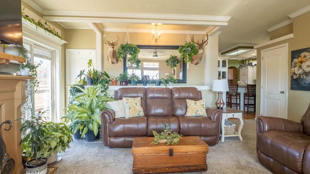 1986 County Road 504, Gainesville, MO 65655